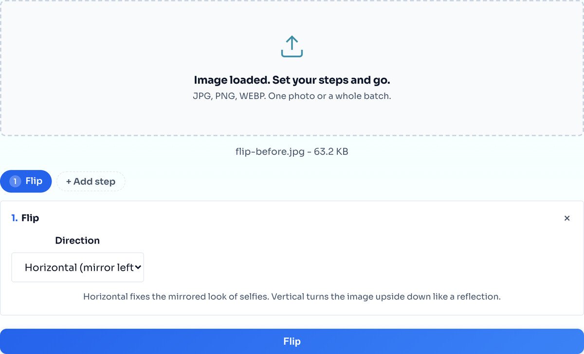 The flip tool with a portrait photo loaded