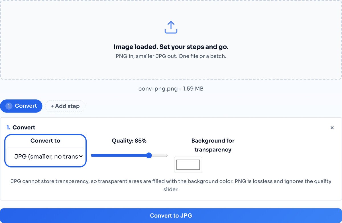 The convert panel with output and background options highlighted